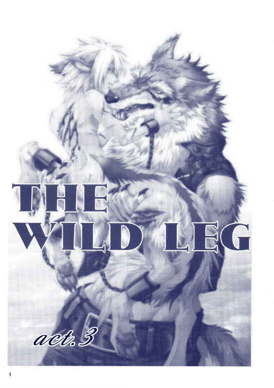 (C78) [GoldenDawn89 (Karitaka Akira, Ono Nui)] THE WILD LEG III [Chinese] [新桥月白日语社]