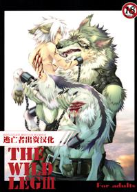 (C78) [GoldenDawn89 (Karitaka Akira, Ono Nui)] THE WILD LEG III [Chinese] [新桥月白日语社]