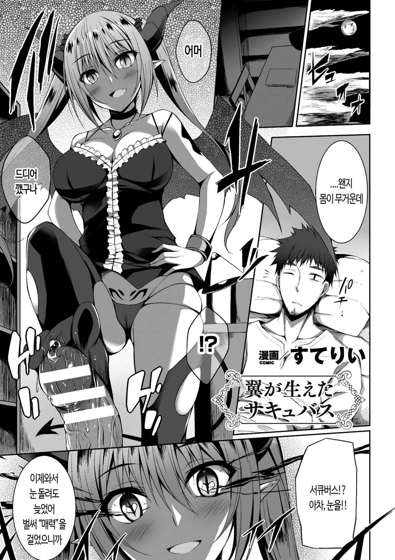 [Stealyy] Tsubasa ga Haeta Succubus (2D Comic Magazine Tenshi ni Ochiru Akuma-tachi Vol. 1) [Korean] [Digital]