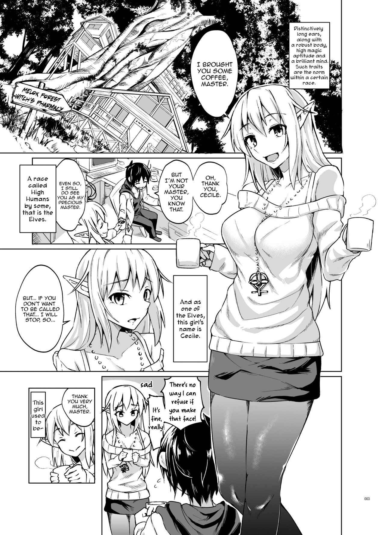 [SlapStickStrike (Stealth Changing Line)] Toaru Elf o Hikitorimashite | Taking Care of a Certain Elf [English] [Sahashi74] [Digital]