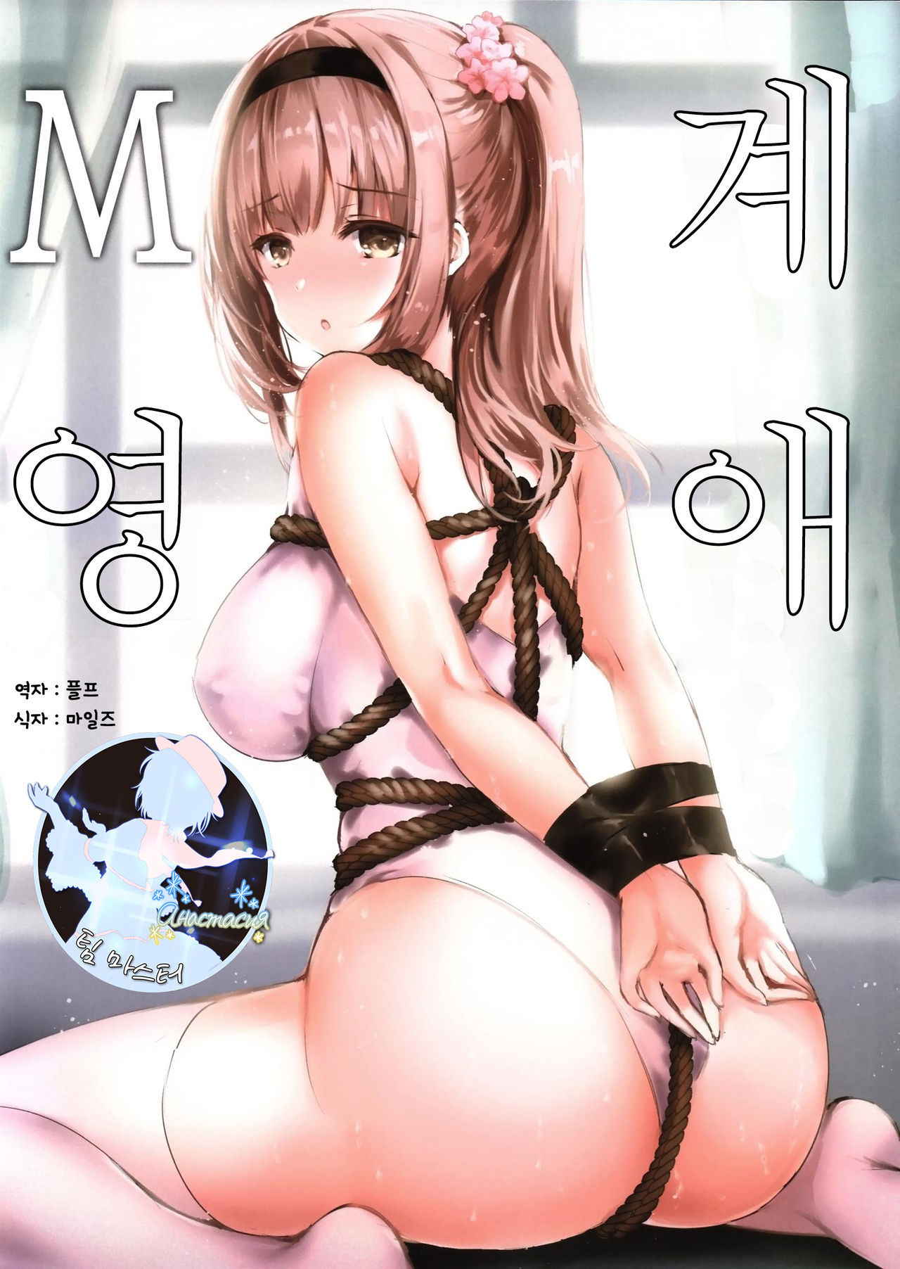 (C94) [Kanden Shoujo Chuuihou (Mafuyu)] M Kei Reijou | M계 영애 [Korean] [팀 마스터]