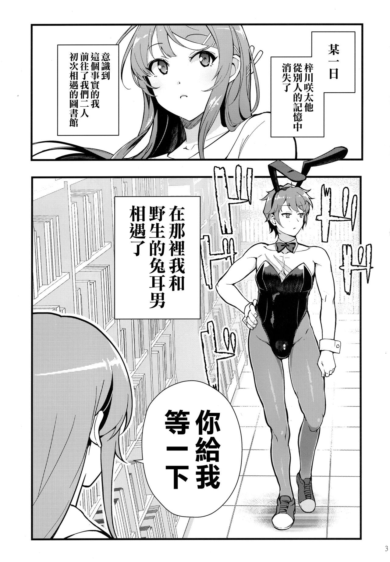 (C95) [Kayoudou (shouka)] Bunny Lovers (Seishun Buta Yarou wa Bunny Girl Senpai no Yume o Minai) [Chinese] [空気系☆漢化]