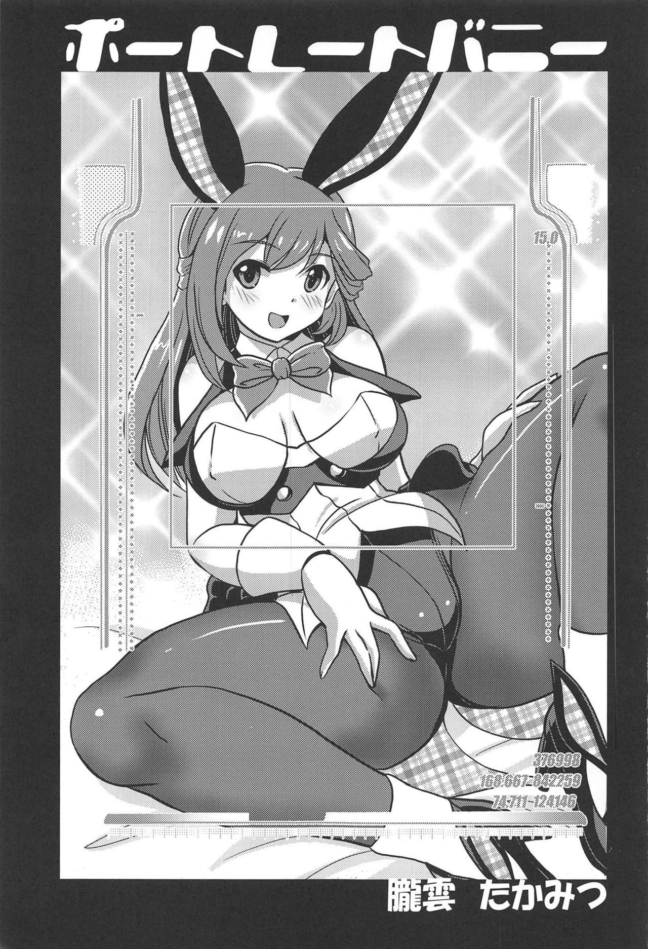 (C95) [Misuterutein (Oborogumo Takamitsu)] Portrait Bunny (Alice Gear Aegis)