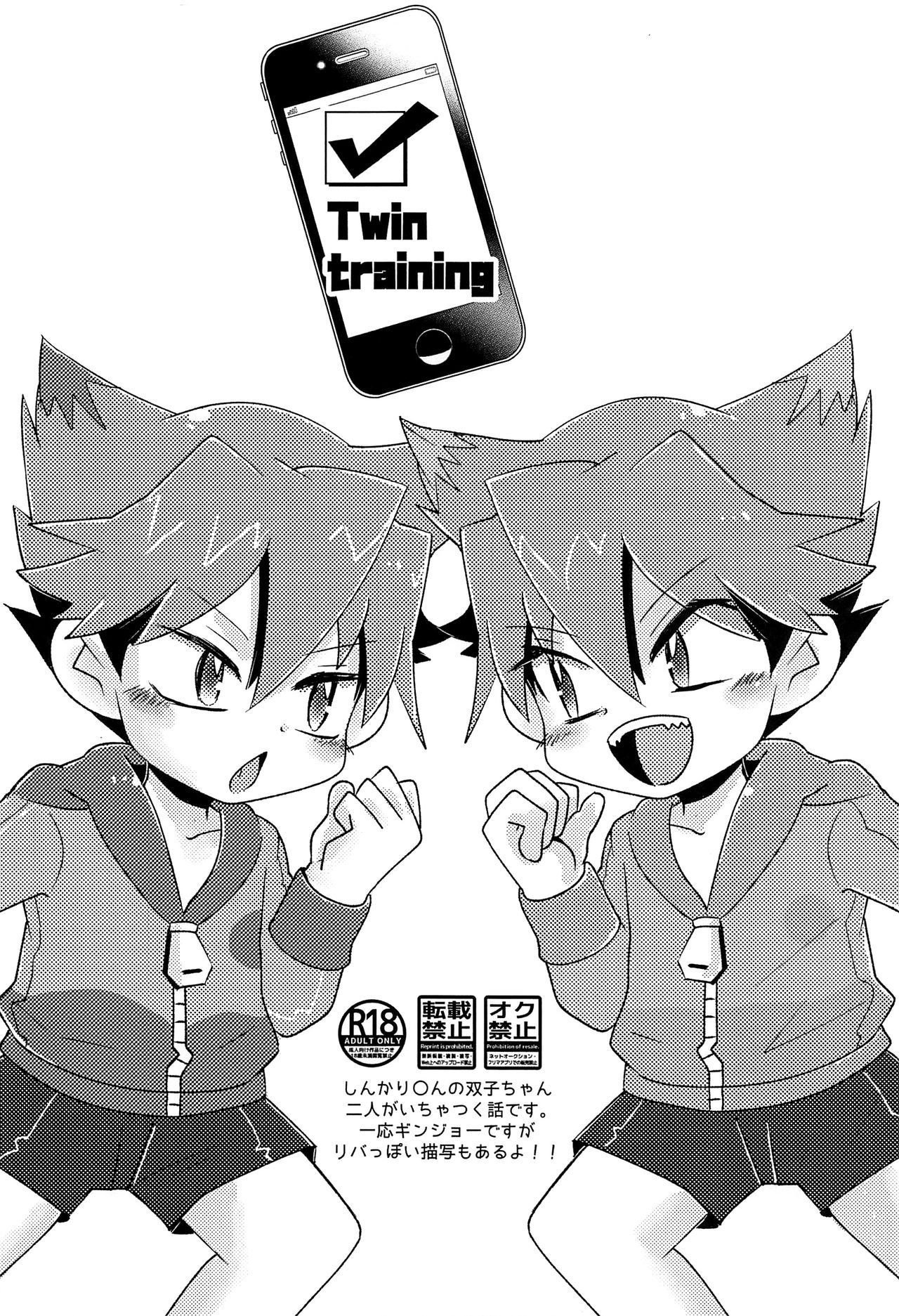 [Tora Tamatama (Tosa)] Twin training (Shinkalion)