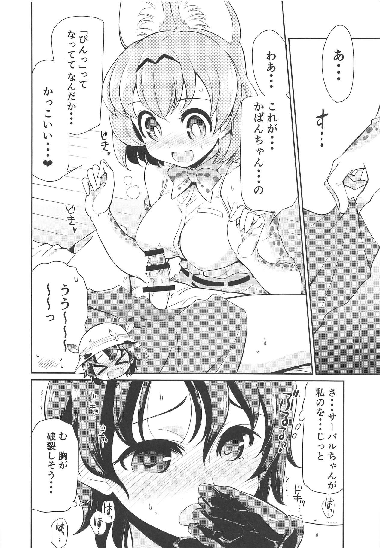 (C95) [Yokoshimaya. (Yokoshima Takemaru)] Taihen!! Kondo wa Kaban-chan no Omata ga Harechatta! (Kemono Friends)