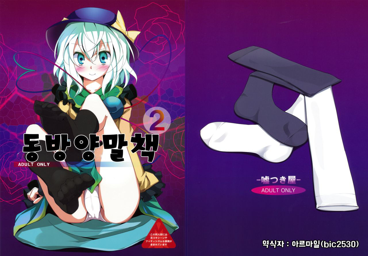 (Reitaisai 6) [Usotsukiya (Oouso)] Touhou Kutsushita Bon 2 | 동방양말책2 (Touhou Project) [Korean] [Hellven]