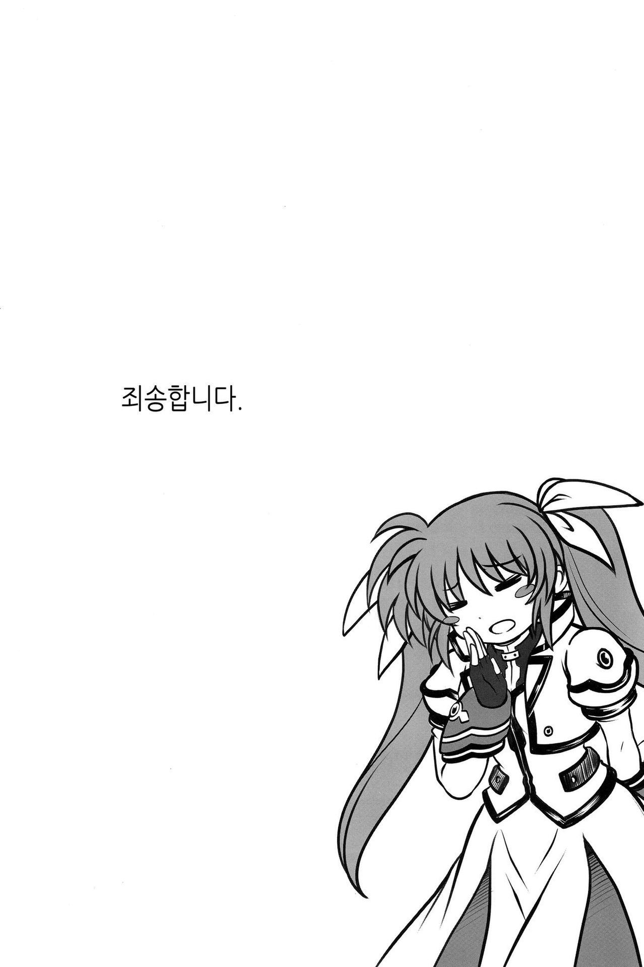 (C95) [Cyclone (Reizei, Izumi)] GOMEN NASAI. (Mahou Shoujo Lyrical Nanoha, Fate/Grand Order) [Korean] [팀 노고치]