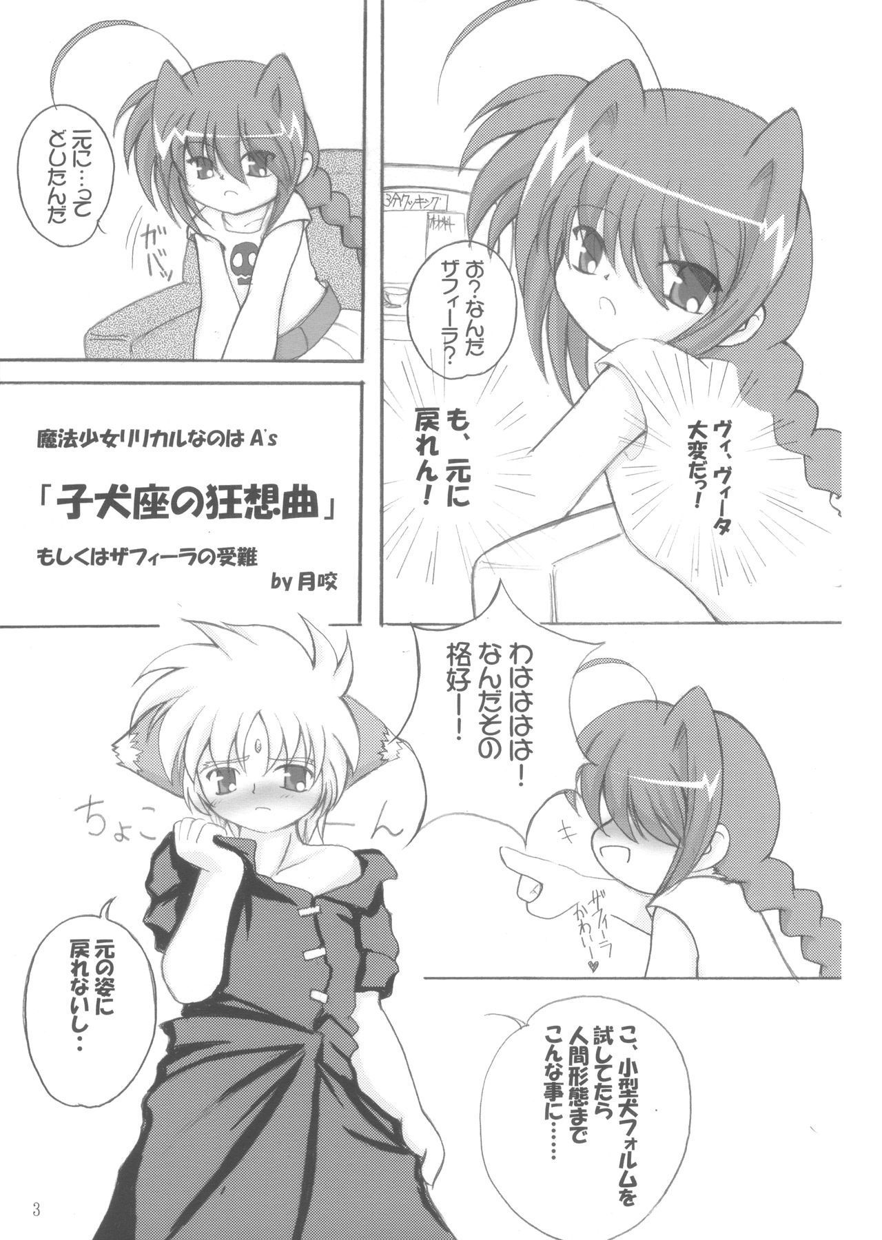 (Triangle Party 4) [Gekkou-Dou (Tsukigami)] Koinuza no Kyousoukyoku (Mahou Shoujo Lyrical Nanoha)