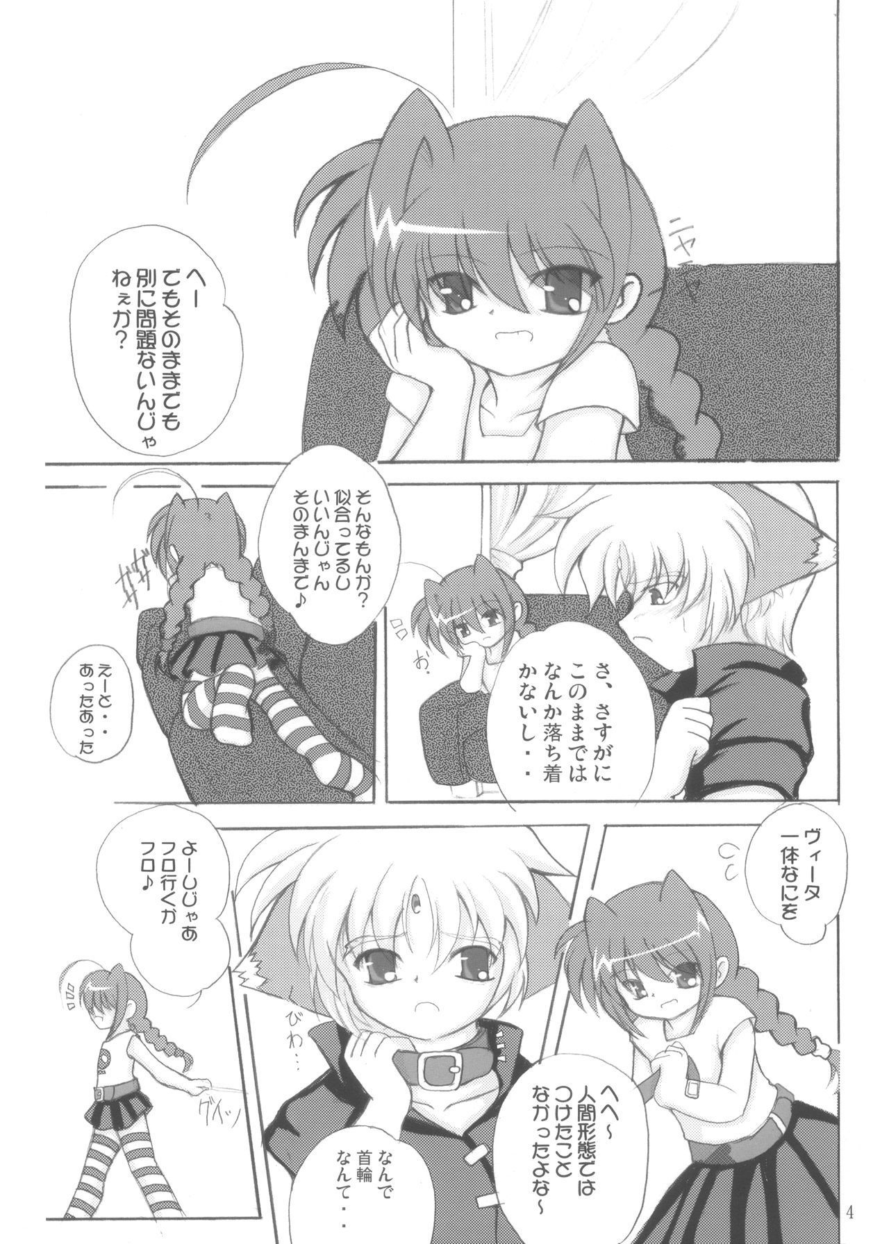 (Triangle Party 4) [Gekkou-Dou (Tsukigami)] Koinuza no Kyousoukyoku (Mahou Shoujo Lyrical Nanoha)