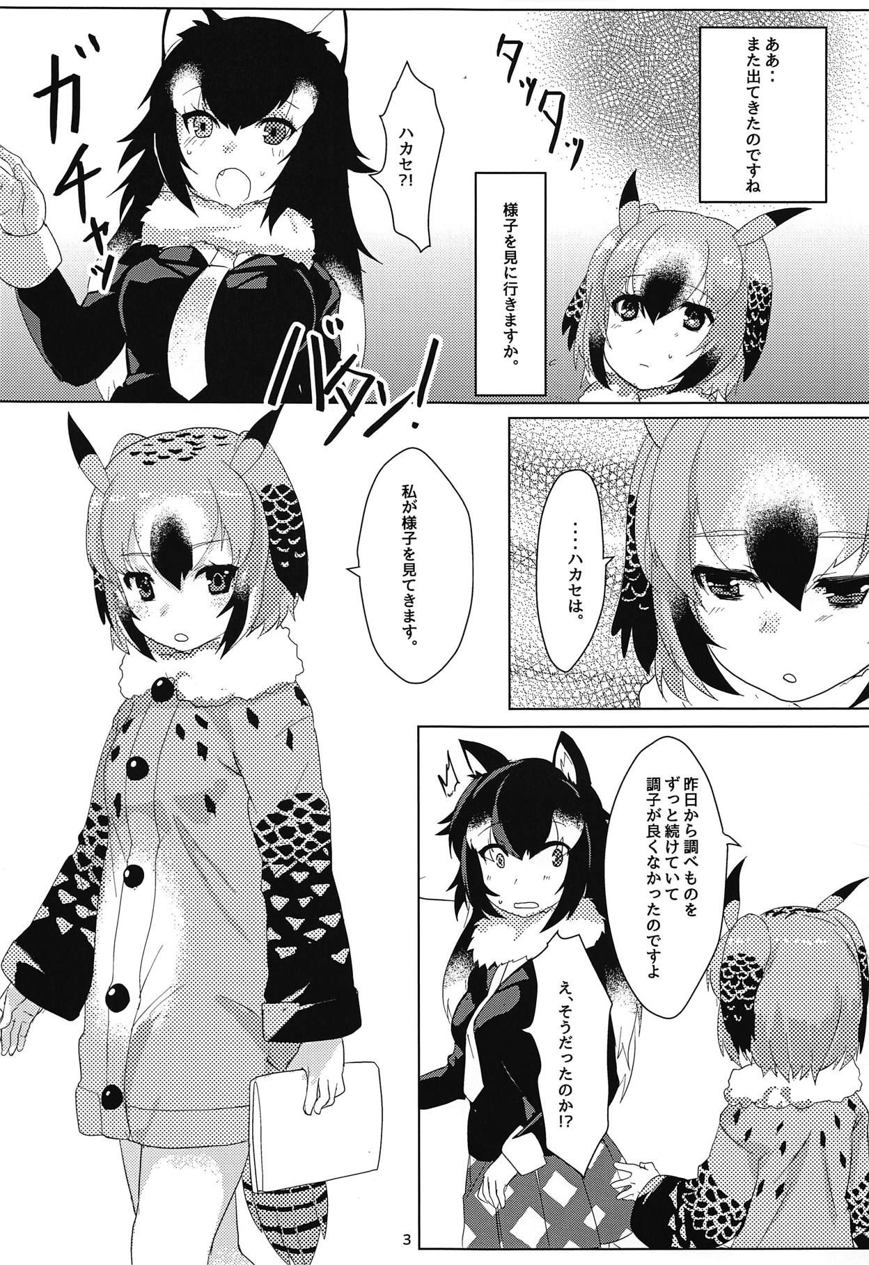 (C95) [Tokkun Dogeza (Tadano Magu)] Hakase no Joshu-san (Kemono Friends)