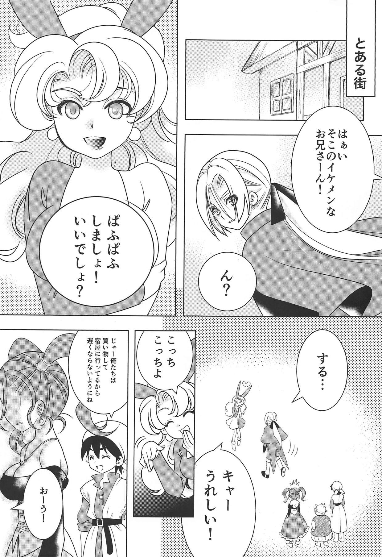 (TWINKLE MIRAGE 8) [Seishun no 11 Page (Umani)] Missing (Dragon Quest VIII)