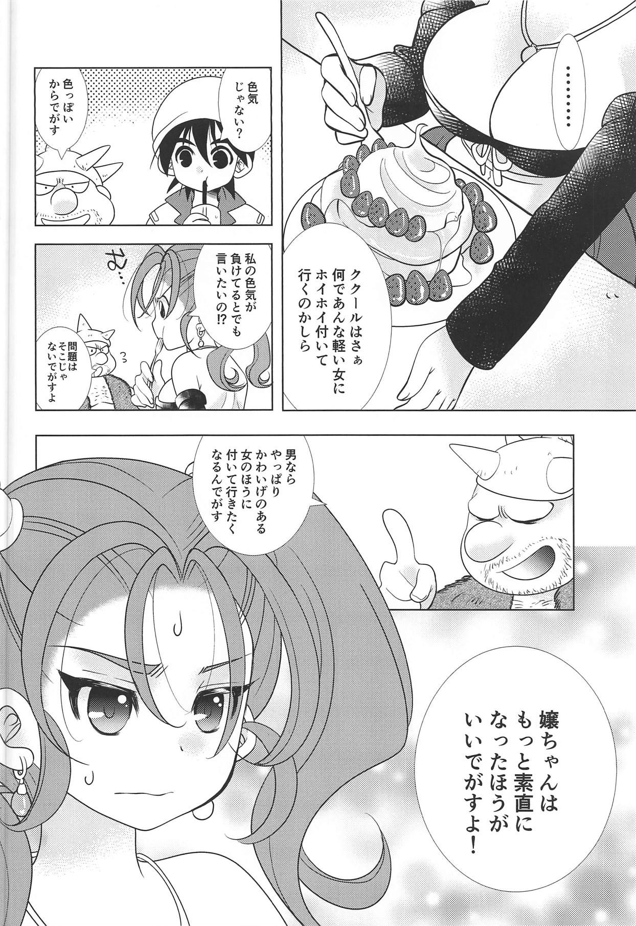 (TWINKLE MIRAGE 8) [Seishun no 11 Page (Umani)] Missing (Dragon Quest VIII)