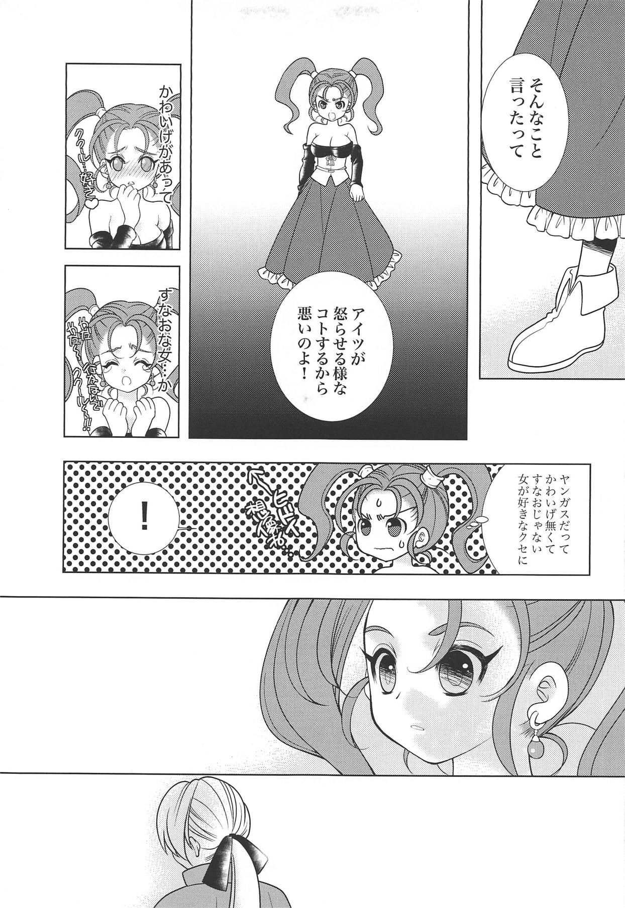 (TWINKLE MIRAGE 8) [Seishun no 11 Page (Umani)] Missing (Dragon Quest VIII)