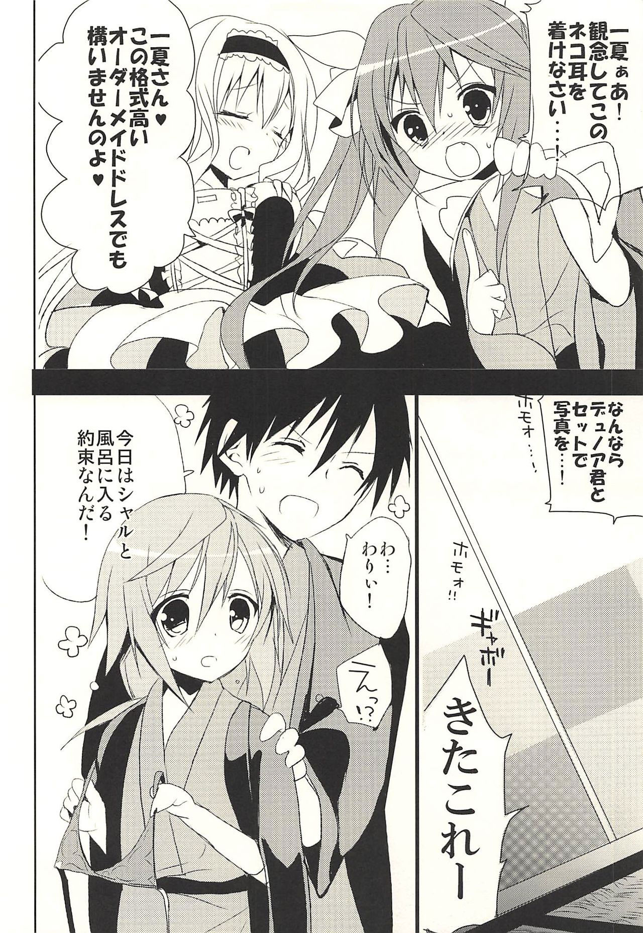 (C83) [Otona Shuppan (Hitsuji Takako)] Daisuki Collection (IS <Infinite Stratos>)