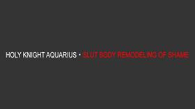 [Naya (Papermania)] Seikishi Aquarius Chijoku no Nyotai Kaizou | Holy Knight Aquarius - Slut Body Remodeling of Shame [English]