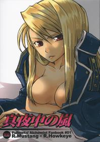 (SC25) [Ao Hana (Aoi Remi)] Mayonaka no Arashi (Fullmetal Alchemist)