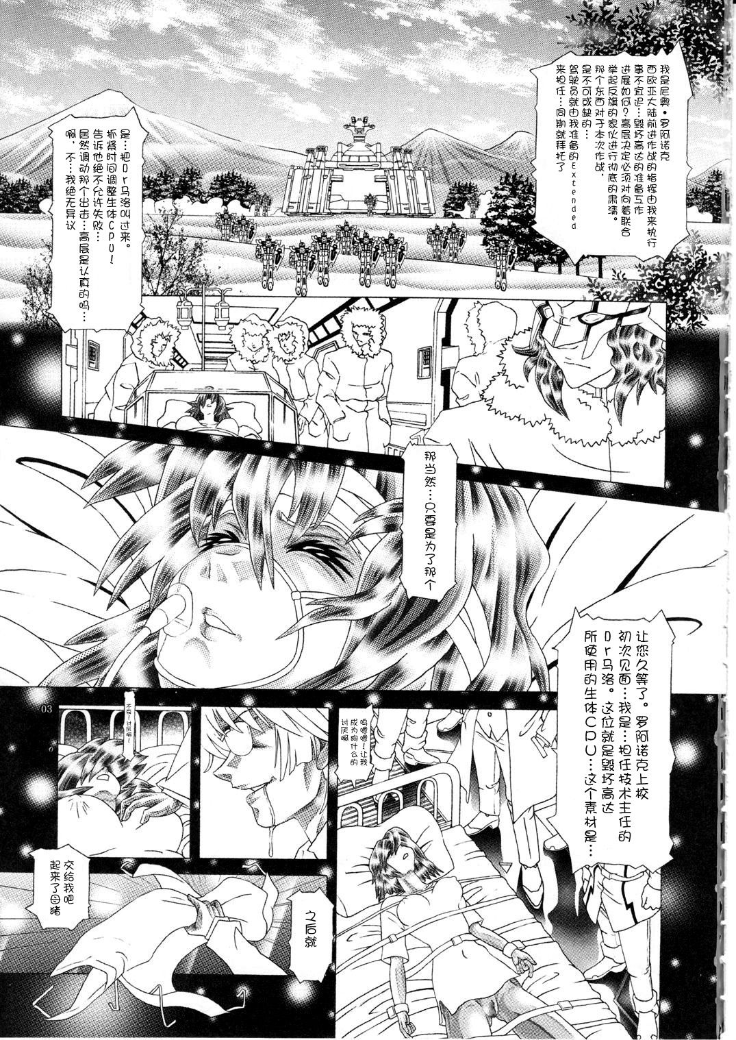 (C77) [Kaki no Boo (Kakinomoto Utamaro)] RANDOM NUDE Vol.5 92 〔STELLAR LOUSSIER〕 (Gundam Seed Destiny)【chinese】