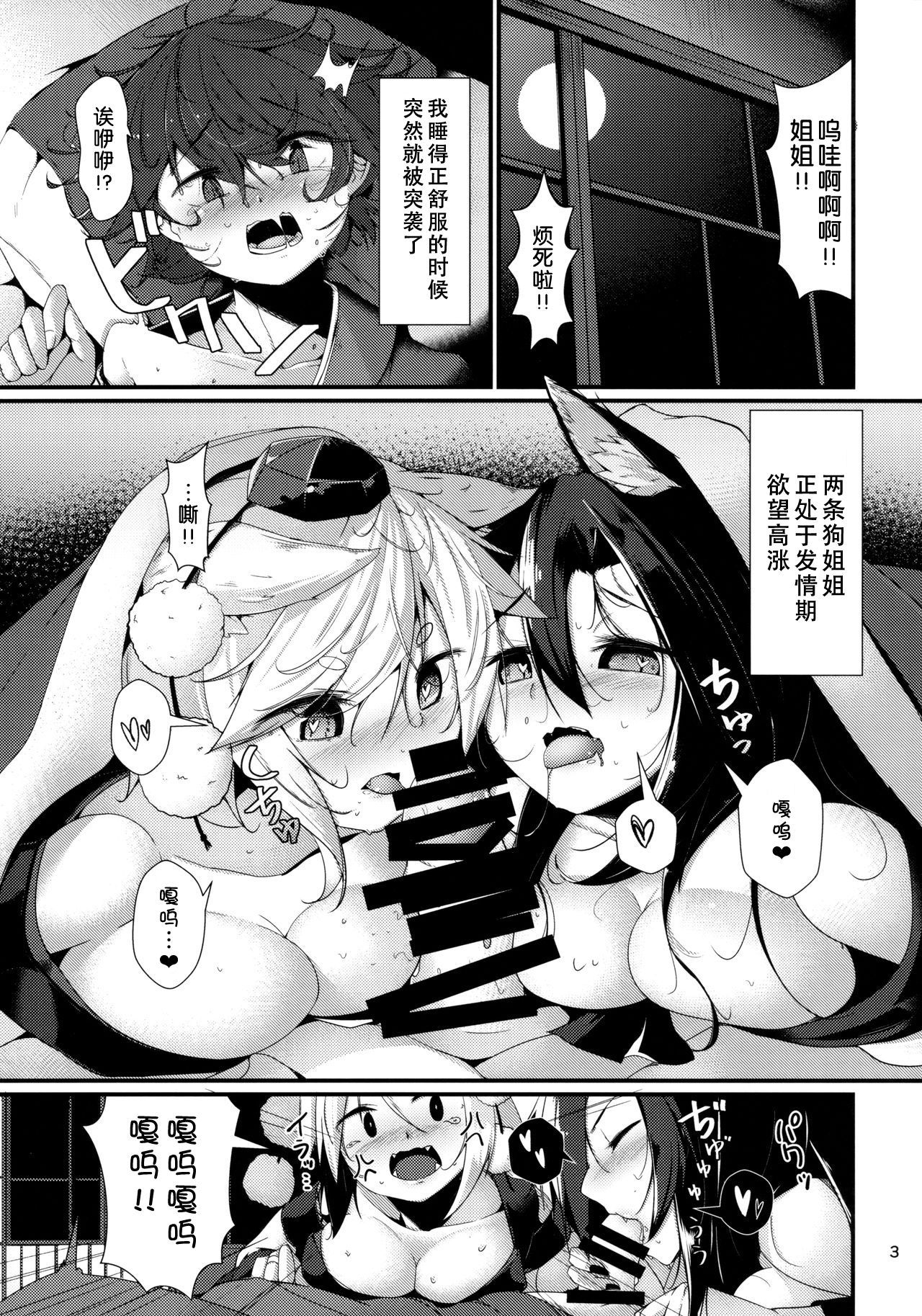 (Kouroumu 13) [Nanika no Heya (Hira)] Inu no Onee-chan-tachi no Hatsujou Shitsuke (Touhou Project) [Chinese] [狗东西汉化组]