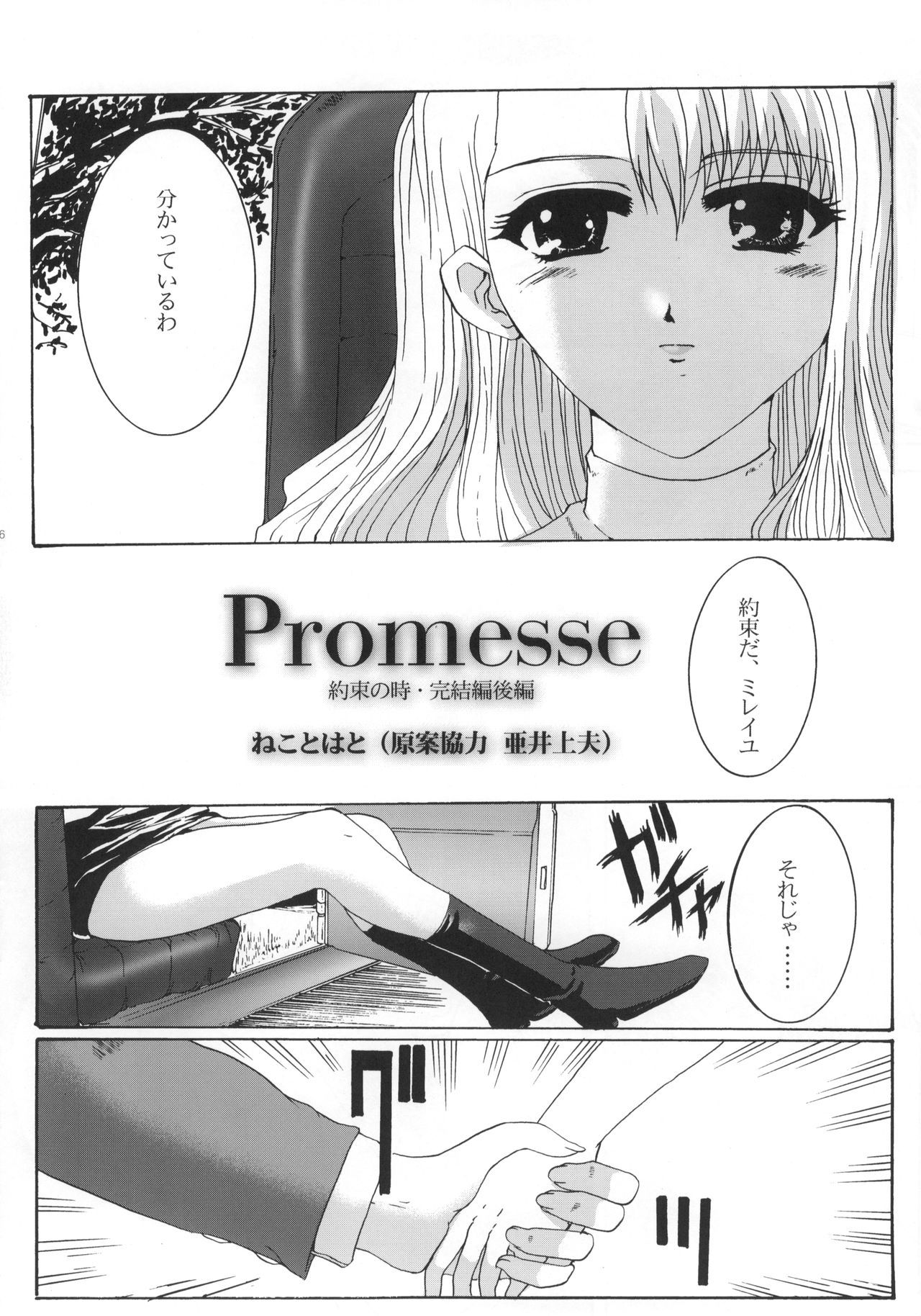 (SC15) [Neko to Hato (Hatoya Mameshichi)] Promesse ＩＩＩ Yakusoku no Toki - Kanketsuhen Kouhen (Noir)