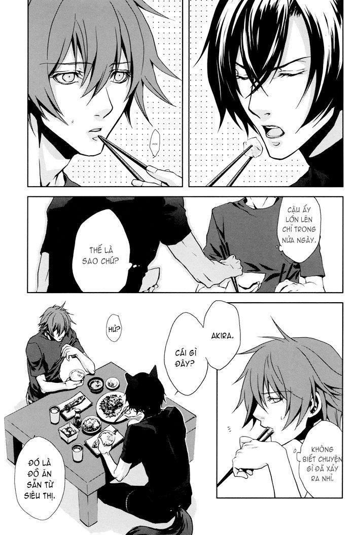 Togainu No Chi Doujinshi - Inushiki