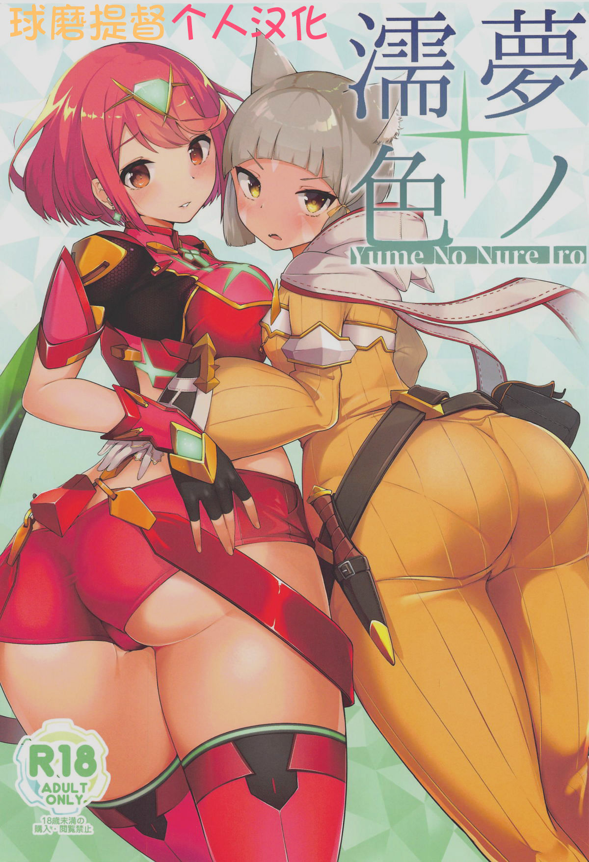 (COMIC1☆15) [Jajujo (Jovejun.)] Yume No Nure Iro (Xenoblade Chronicles 2) [Chinese] [球磨提督个人汉化]