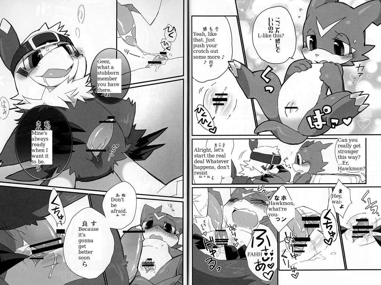 (Kansai! Kemoket 2) [Hanayori Kemono (KENSAN)] BUIBUI (Digimon Adventure 02) [English] [HJCscans]