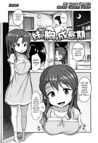 [Hayake] Imouto no Mune wa Seichou-ki (Nani Suru no!? Onii-chan!!) [English] [q91]