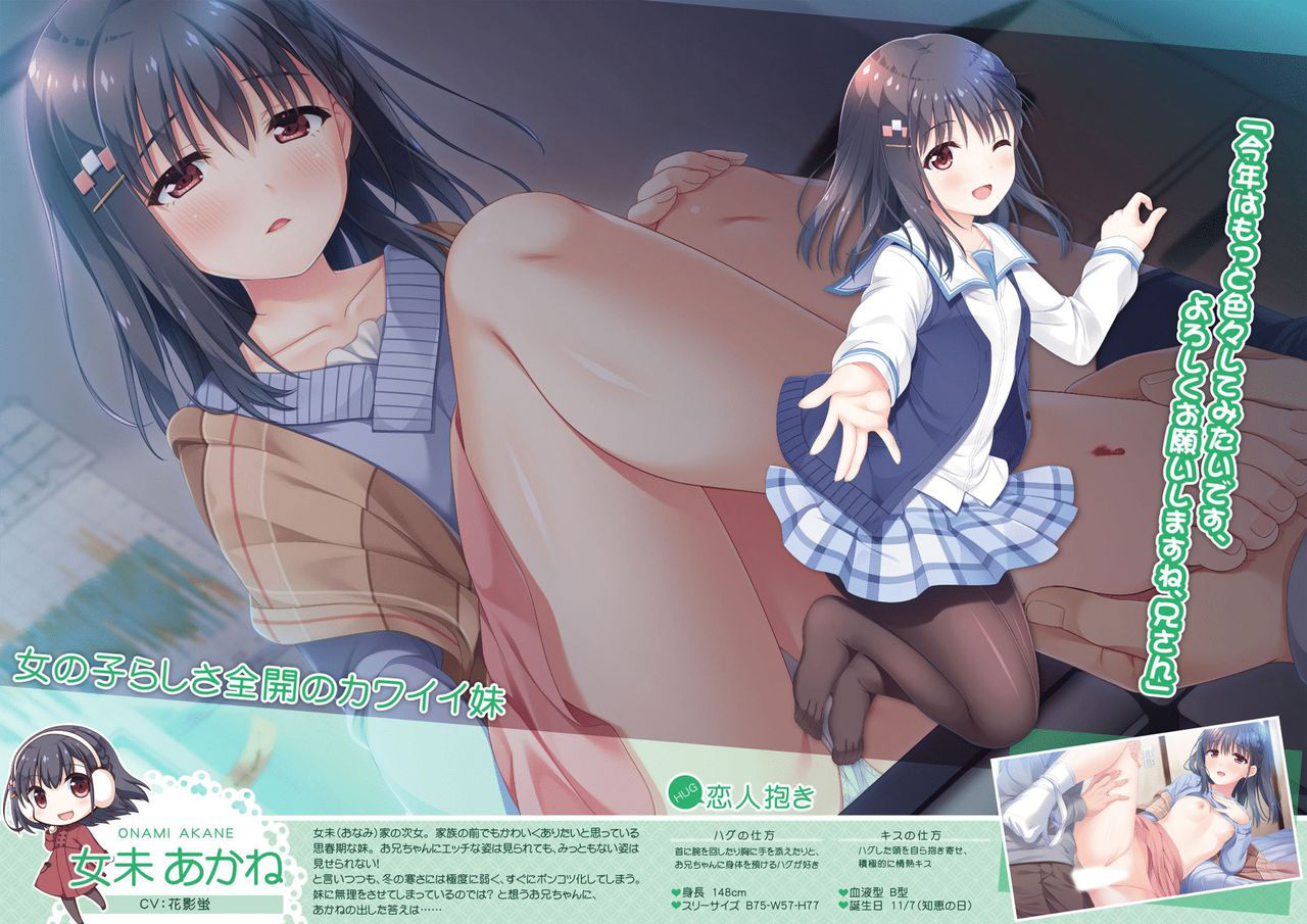 Onii-chan, Asa Made Zutto Gyu te Shite! Yoru Made Motto Ecchi Shite! Visual Guide Book