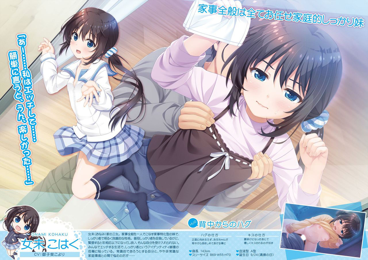 Onii-chan, Asa Made Zutto Gyu te Shite! Yoru Made Motto Ecchi Shite! Visual Guide Book