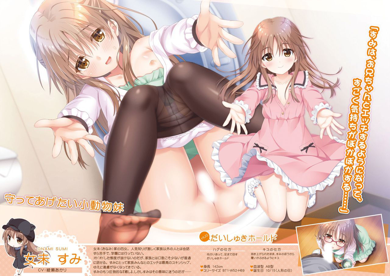 Onii-chan, Asa Made Zutto Gyu te Shite! Yoru Made Motto Ecchi Shite! Visual Guide Book