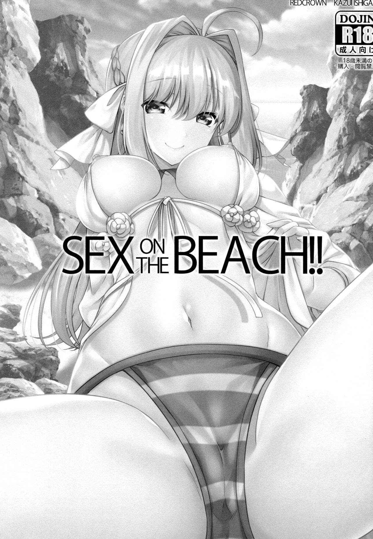 (C96) [RED CROWN (Ishigami Kazui)] SEX ON THE BEACH!! (Fate/Grand Order) [Chinese] [空気系☆漢化]