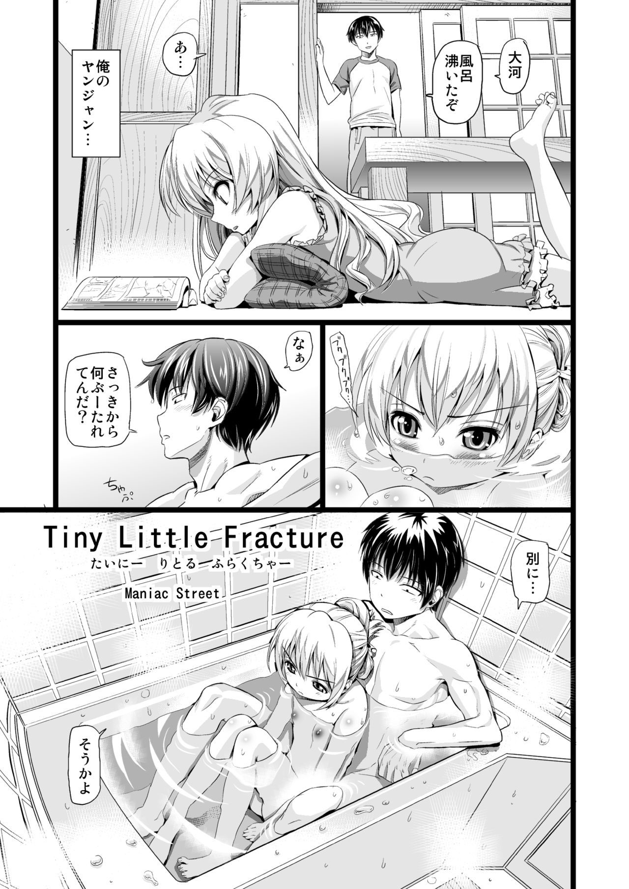 [Maniac Street (Sugaishi)] Tiny Little Fracture (Toradora!) [Digital]