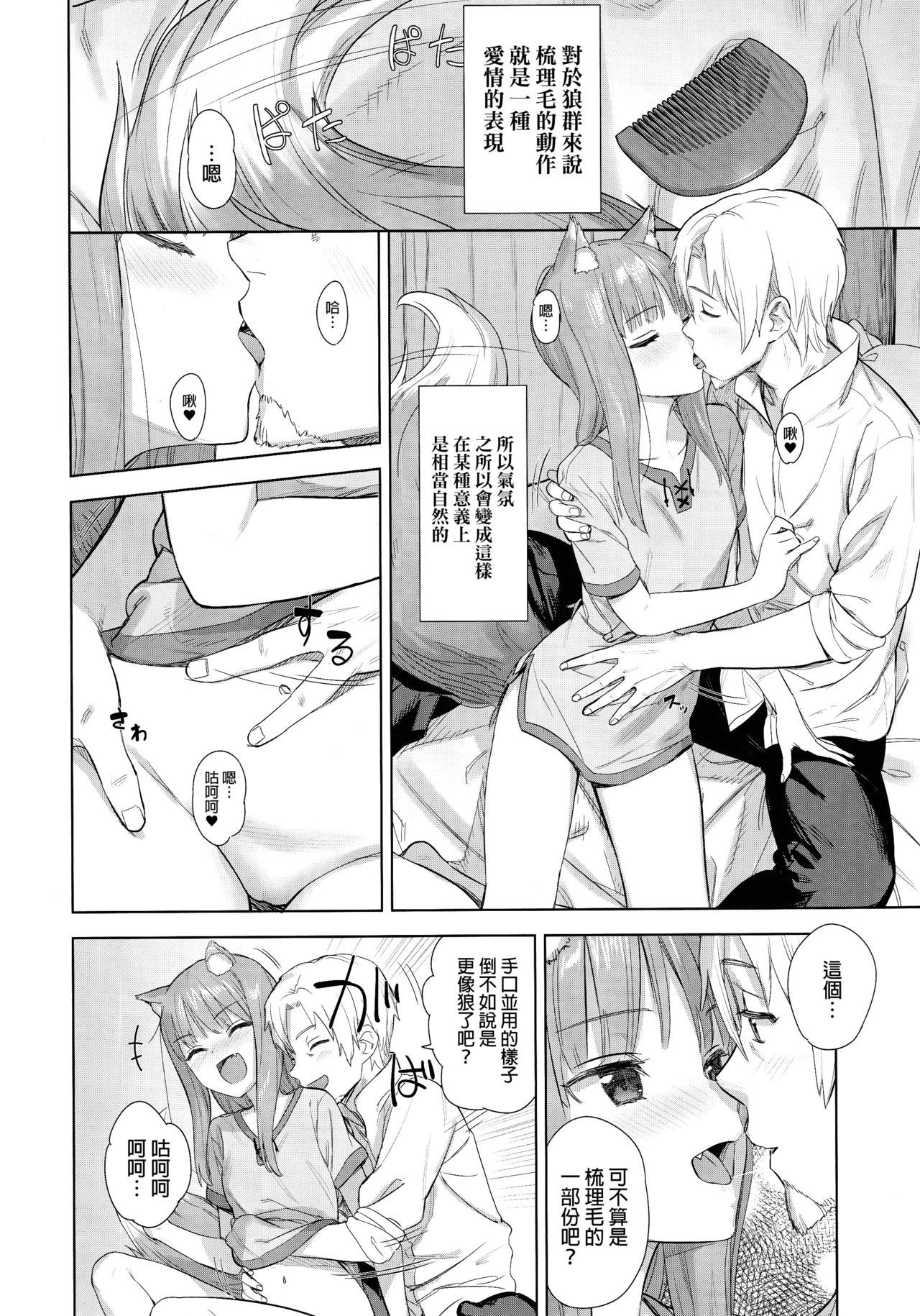 (C96) [Ajisaidenden (Kawakami Rokkaku, Takanashi Rei)] Wacchi to Shippori Kezukuroi Bon (Spice and Wolf) [Chinese] [final個人漢化]