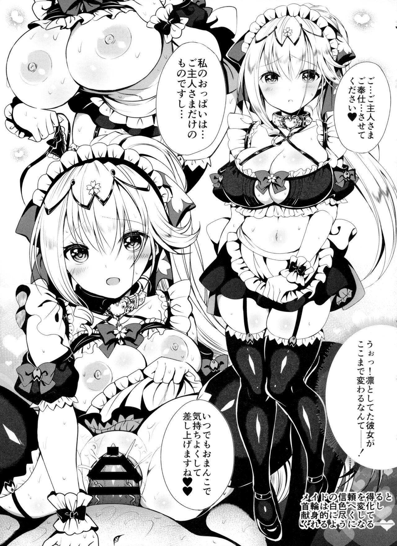 (C96) [sirojio (Kiryuu Mina)] Himekishi o Maid ni Shimasu! Taikenban!