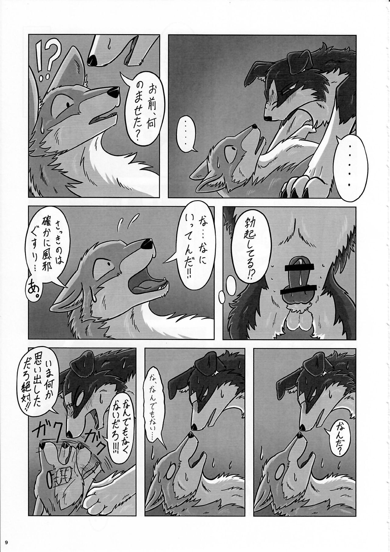 (Kemoket 6) [KTQ48 (Various)] KTQ 12