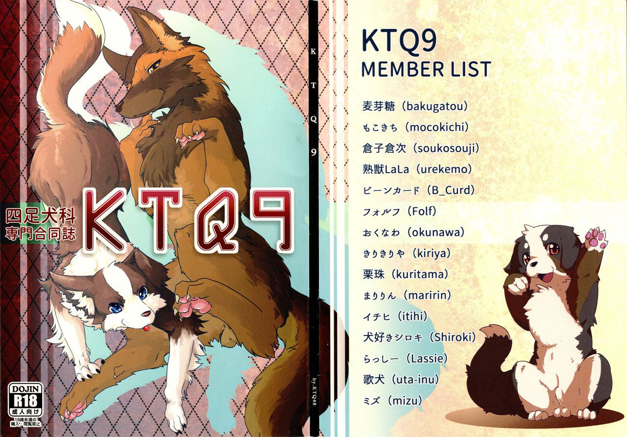 (Kansai! Kemoket 4) [KTQ48 (Various)] KTQ9