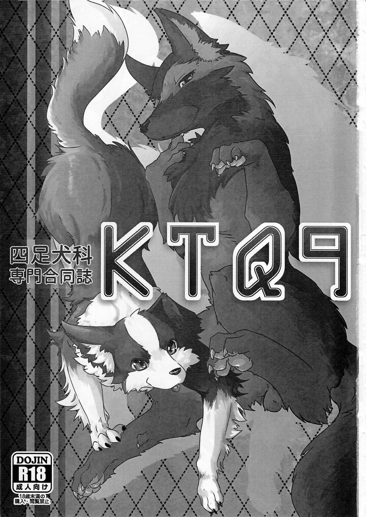 (Kansai! Kemoket 4) [KTQ48 (Various)] KTQ9