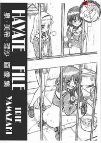 (COMIC1☆4) [RAT TAIL (IRIE YAMAZAKI)] HAYATE FILE - Izumi Miki Risa Gazoushuu (Hayate no Gotoku!) [Chinese] [不咕鸟汉化组]