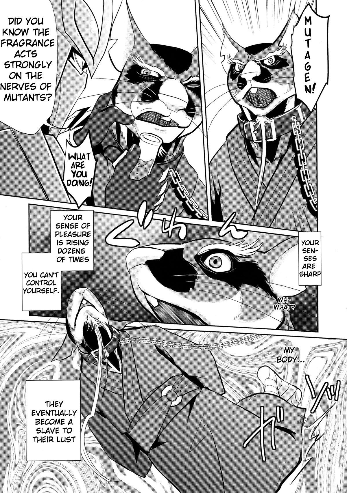 (Fur-st 8) [INK (Kreuz, Kandagawa Gufu)] Splinter-Sensei's Crisis (Teenage Mutant Ninja Turtles) [English] (SakuraJizz)