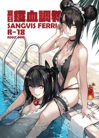 (FF34) [不紳士作戰部(ZEN)(Lyin)] 夏日鐵血調教~SANGVIS FERRI~ (Girls' Frontline)(chinese)