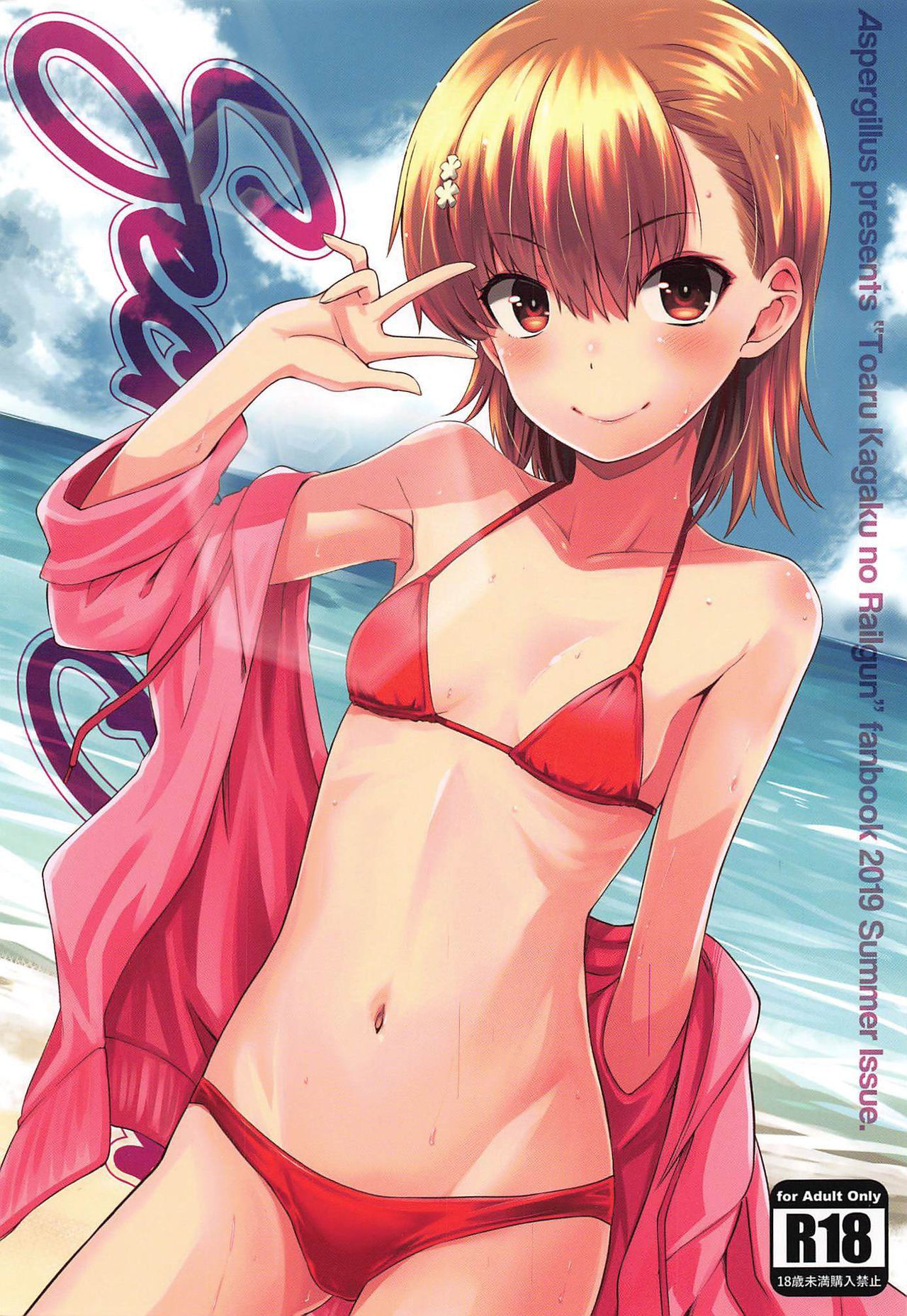 (C96) [Aspergillus (Okara)] Secret Beach (Toaru Kagaku no Railgun)