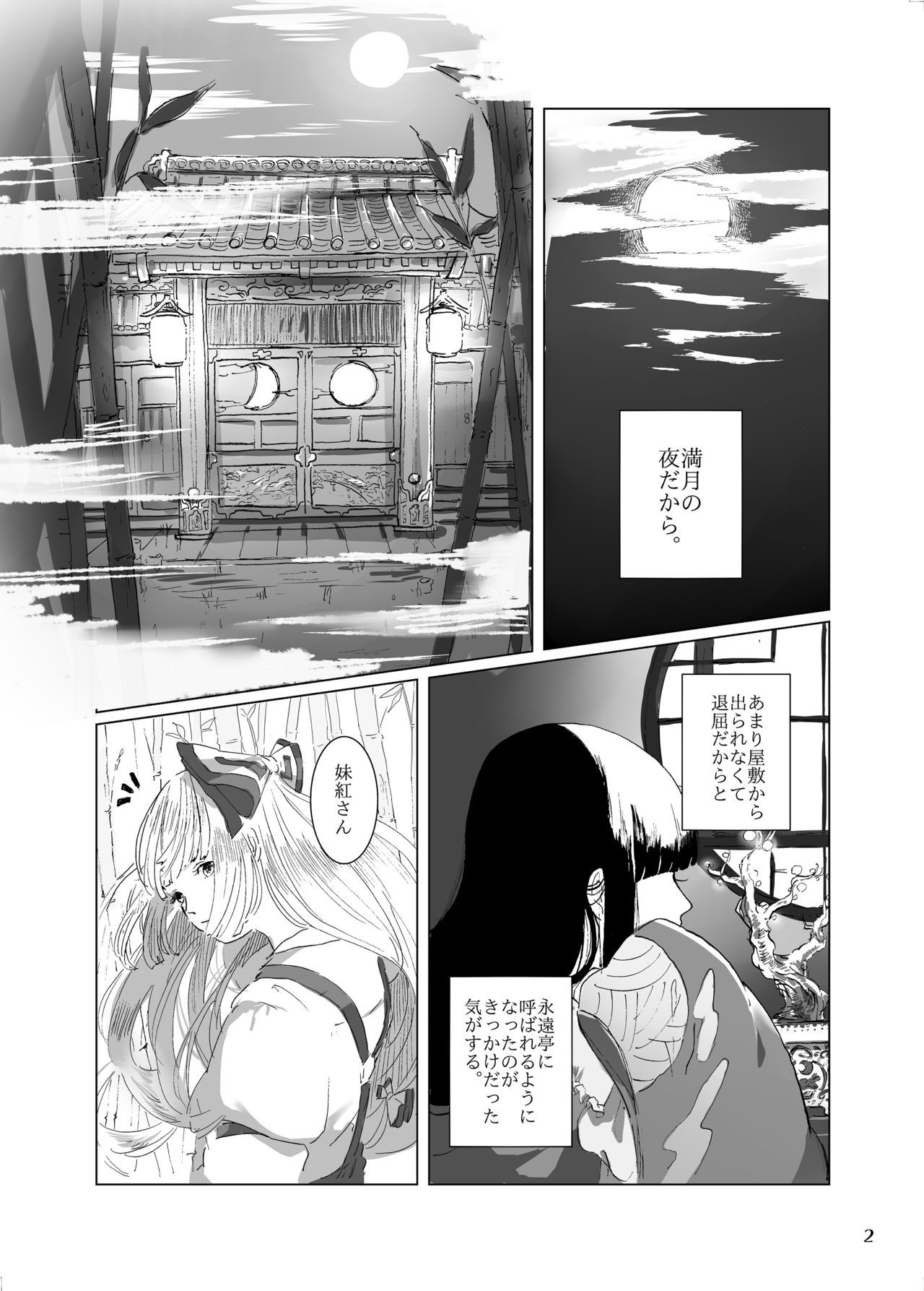 (紅楼夢14) (同人誌) [天色マカロン] 程よい距離 (東方) (エロ)