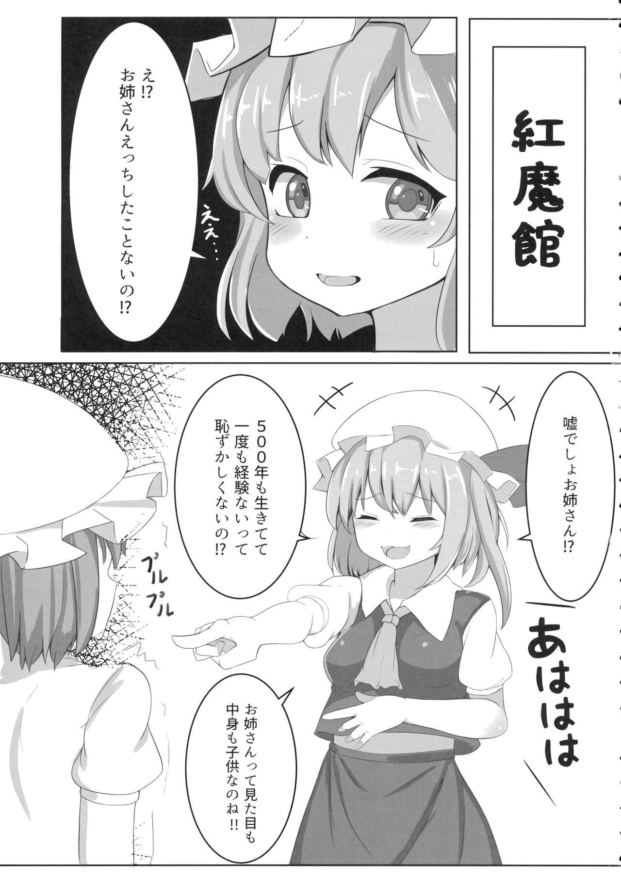 (幻想紅魔祭3) (同人誌) [ちりめんすたじお] レミリアが大変な目に合います (東方) (エロ)