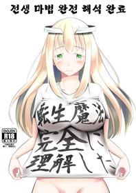 [Mochi to Shiawase (Mato)] Tensei Mahou Kanzen ni Rikai Shita | 전생 마법 완전 해석 완료 [Korean] [Digital]