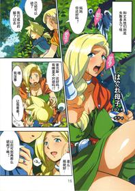 (C86) [VOLVOX (Chirima)] Hagure Boshi 2014 (Narazumono no Utage) (Dragon Quest V) [Chinese] [臭鼬佬个人汉化]