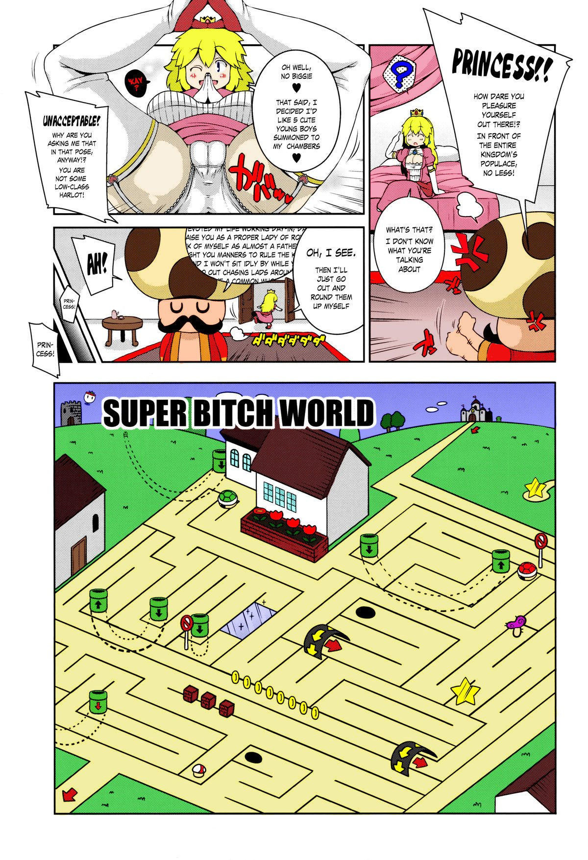 Super Bitch World – Super Mario Brothers