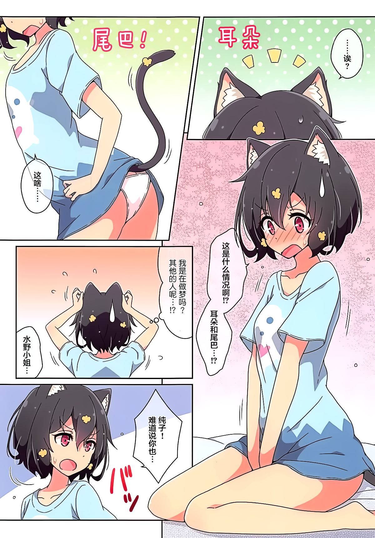 [Melty Pot (mel)] Cat Land SAGA (Zombie Land Saga) [Chinese] [大友同好会]