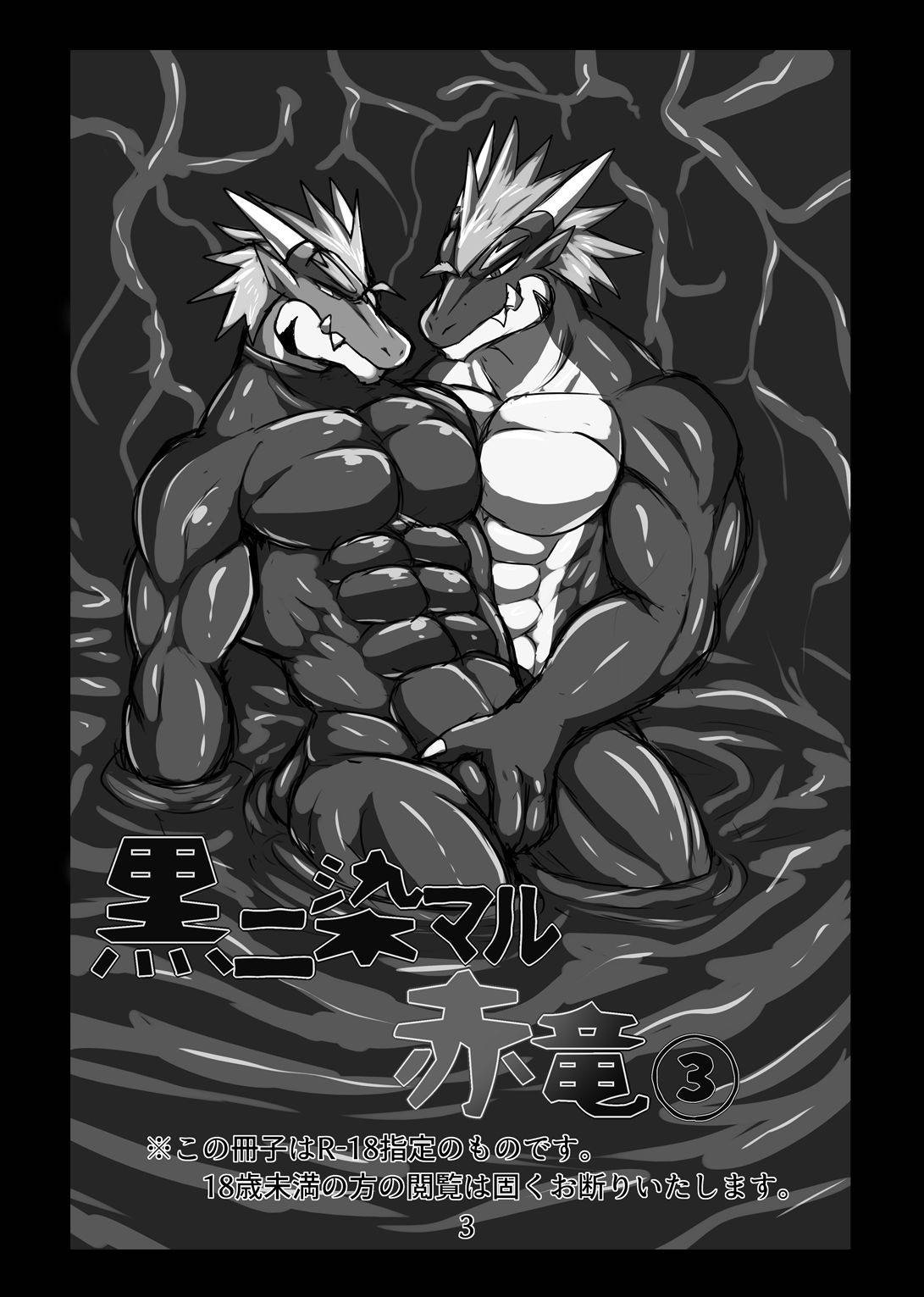 [Keito] Crimson Dragon Dyed in Black ③ [English] [Digital]