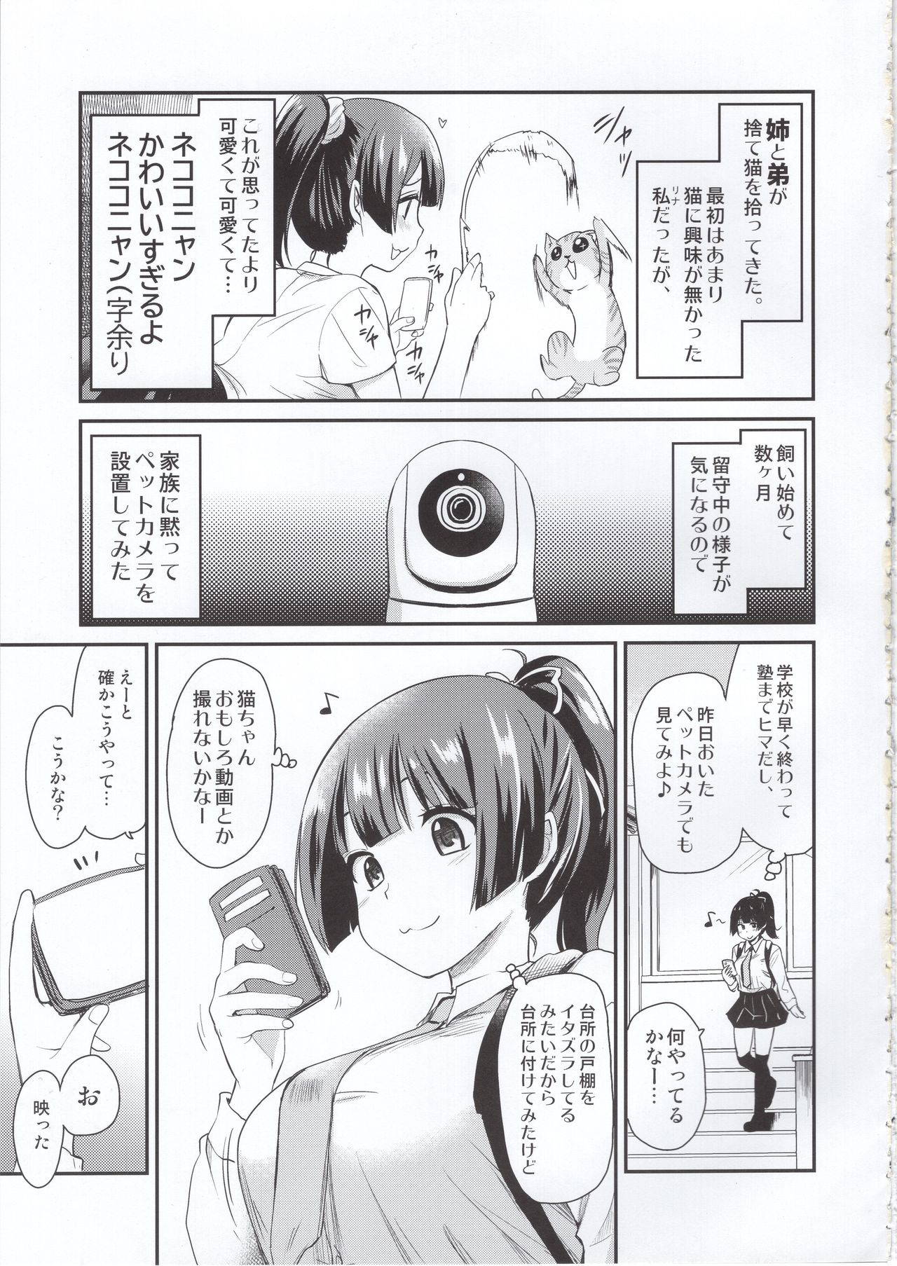 (COMITIA131) [Shin Hijiridou Honpo (Hijiri Tsukasa)] Pet Mimamori Camera ni Ane to Otouto no Sex ga Utsutteta.