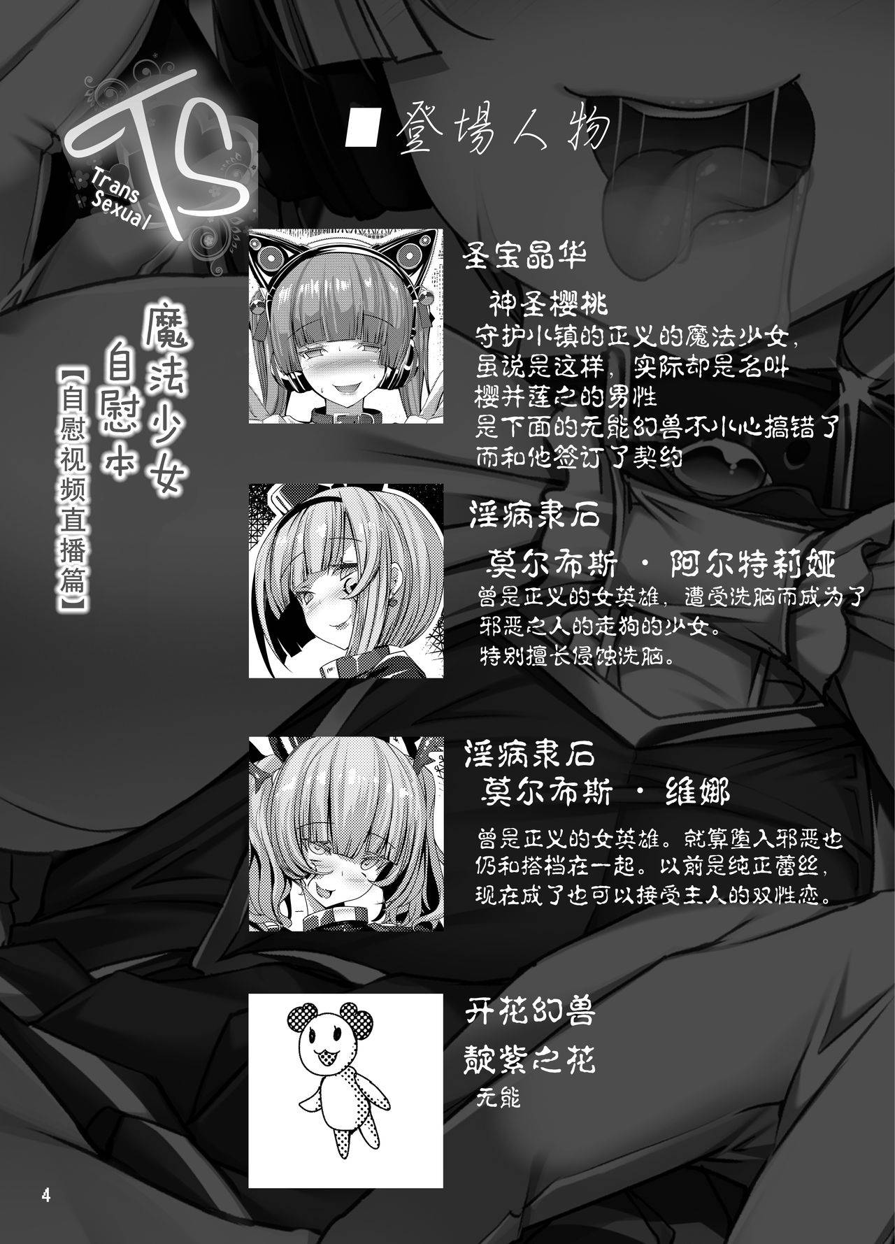 [Tori no Oishii Tokoro (Torisan)] TS Mahou Shoujo Ga Onanie Suru Hon ~Jii Eizou Haishin Hen~ [Chinese] [这很恶堕汉化组] [Digital]